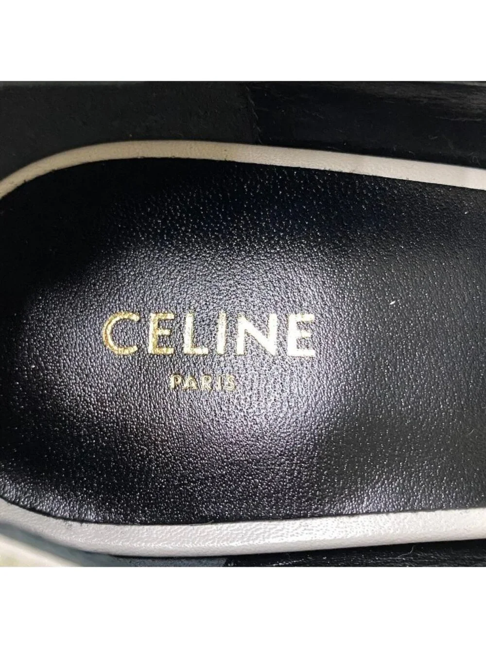 Celine brand color